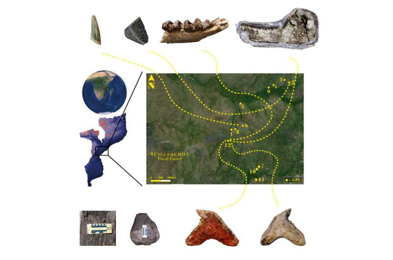 The first Miocene fossils from coastal woodlands in the southern East African Rift