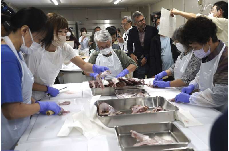 UN nuclear agency team watches Japanese lab workers prepare fish samples from damaged nuclear plant